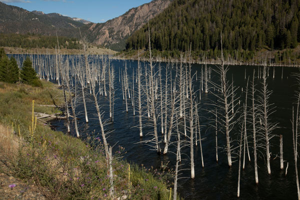 Quake Lake