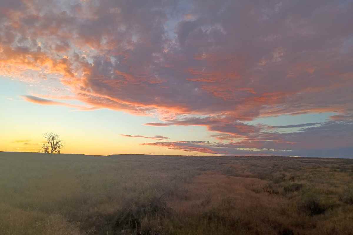 MT Trail Section 22 Sunrise over Prairie