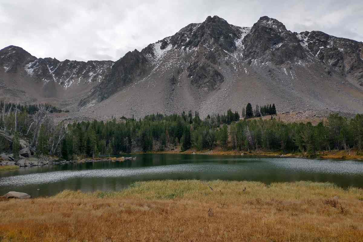 MT Trail Section 12