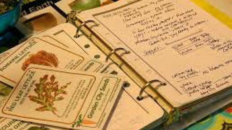 journaling a garden