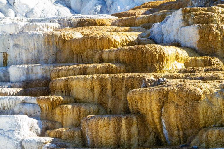 Canary Spring terrace at Mammoth Hot Spring