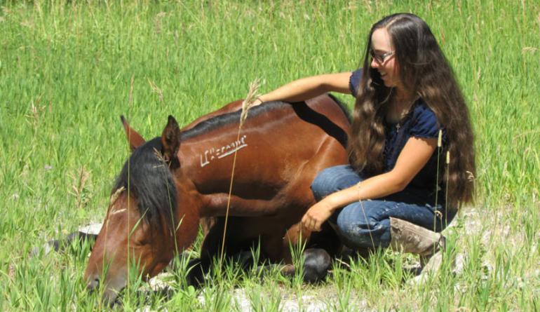 Horse Therapist