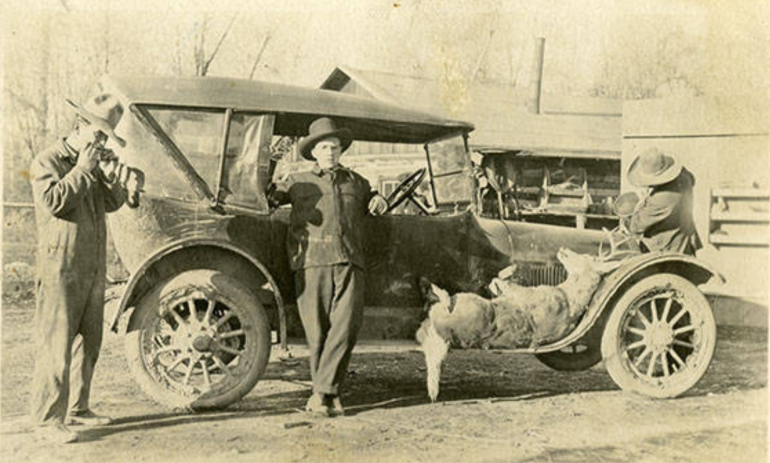 Tellier photo of deer and Buick