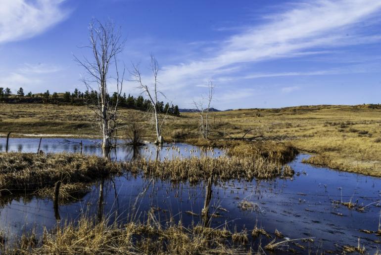 Powder River County