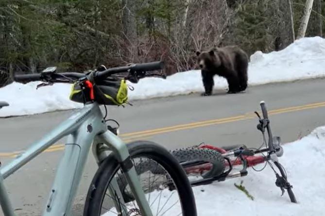 Griz bike!