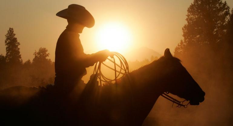 Cowboy Silhouette