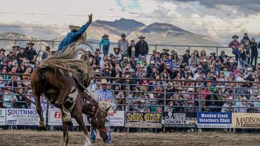 Bronc