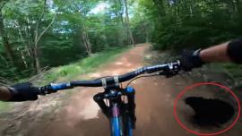 Bike bear with red circle