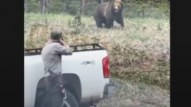 Mammoth Bear Charge 