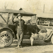 Tellier photo of deer and Buick