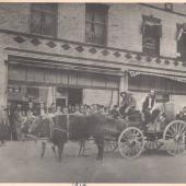 Oxen drawn cart at parade, Roundup, MT